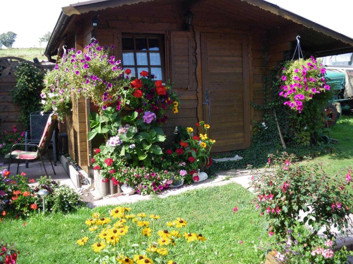 Pension Haus Ludwig Schotten Zewnętrze zdjęcie